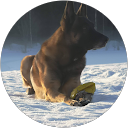 Markus K. profile picture